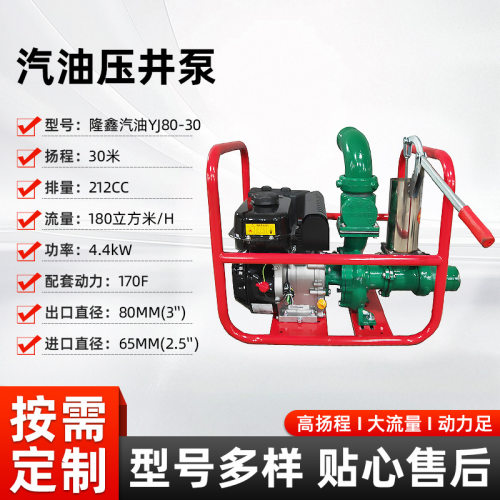 便携提手式汽油水泵隆鑫动力农用家用灌溉压井泵直联自联式自吸泵