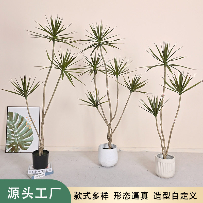 沙漠绿植千年木剑麻家居客厅落地装饰植物大型假树木龙舌高仿真