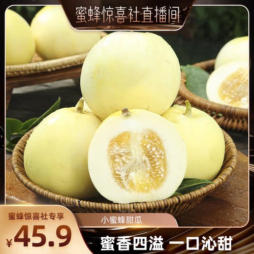 【蜜蜂惊喜社】小蜜蜂甜瓜山东临沂现摘当季新鲜水果头茬甜脆香瓜