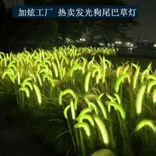 户外发光狗尾巴草地插灯网红景区公园广场街道景观亮化装饰草坪灯