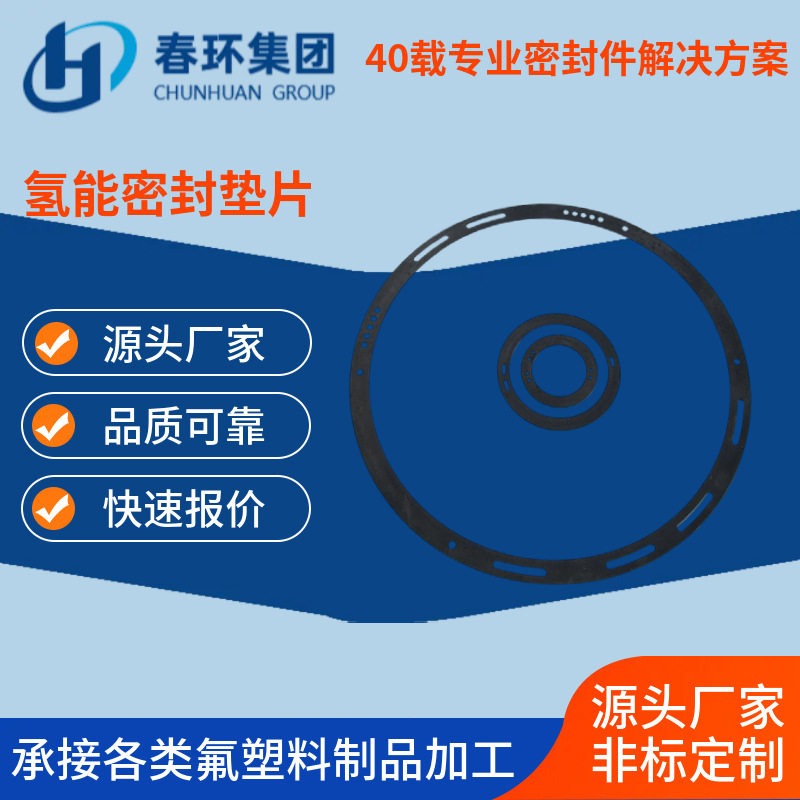 聚四氟乙烯氢能密封垫片 碱性水电解槽四氟垫片