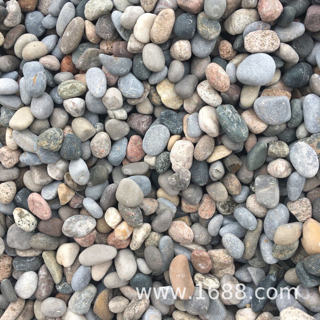 生产鹅卵石 变压器滤油 水培铺面装饰 混色景观砾石