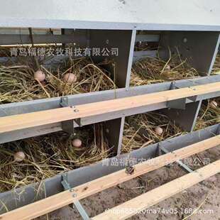 母鸡产蛋箱鸡场人工鸡窝防雨产蛋箱散养鸡产蛋箱大容量