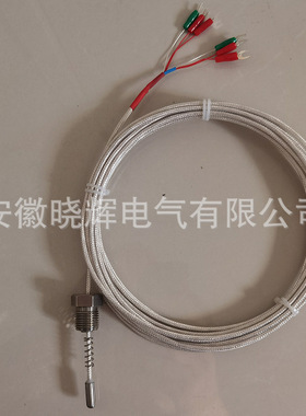 PT100双支端面热电阻WZPM2-201