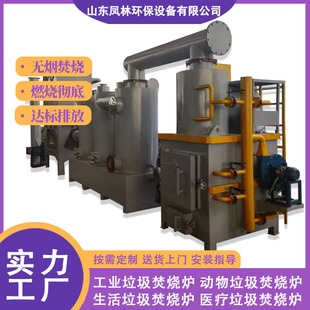 动物尸体燃烧炉 1吨城镇生活垃圾焚烧炉 蓄热式 热力焚烧炉设备