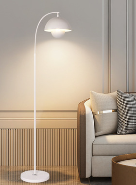 北欧落地灯客厅沙发角落书房卧室床头灯高级感立式极简黑白色台灯