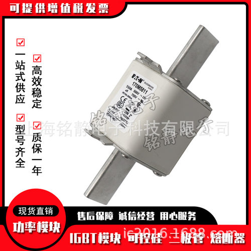 170M5952 170M5953 170M5954 170M5955巴斯曼熔断器170M5956