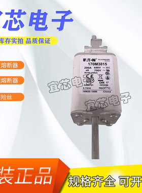 BUSSMANN巴斯曼快速熔断器/保险丝/断路器170M3815  170M3819电容
