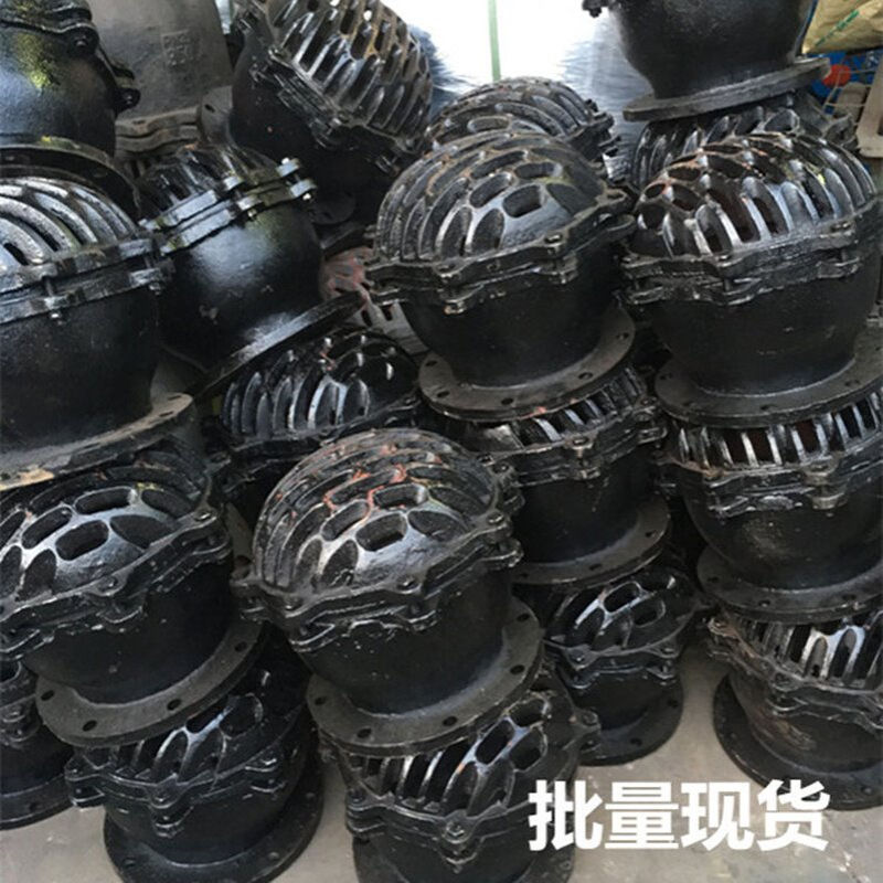 铸铁法兰底阀H42X-0.6/10各种水泵抽水大口径底阀DN50-DN400