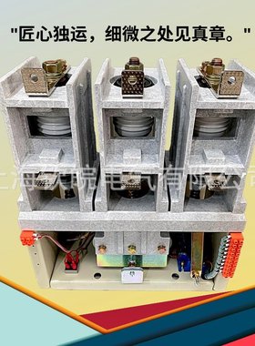 高压接触器JCZ7-6D/160A.250.400.630真空交流接触器品质保证