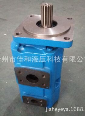 装载机工作泵JHP2050/32浙右   4402-05542