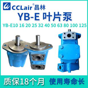 YB-E10液压6.3油泵12叶片泵1620YB-E2532YBE40506380100