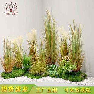 干花蒲苇草假花绿植盆栽婚庆家居装饰摆件狗尾巴草仿真花仿真芦苇