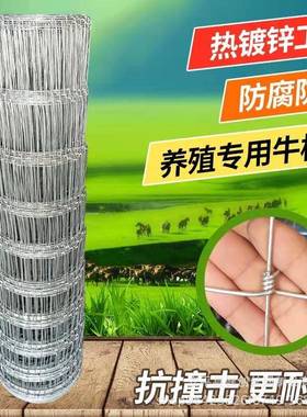 热镀锌钢丝网养殖圈牛羊铁丝网草原养殖场围网圈地果园农场防护