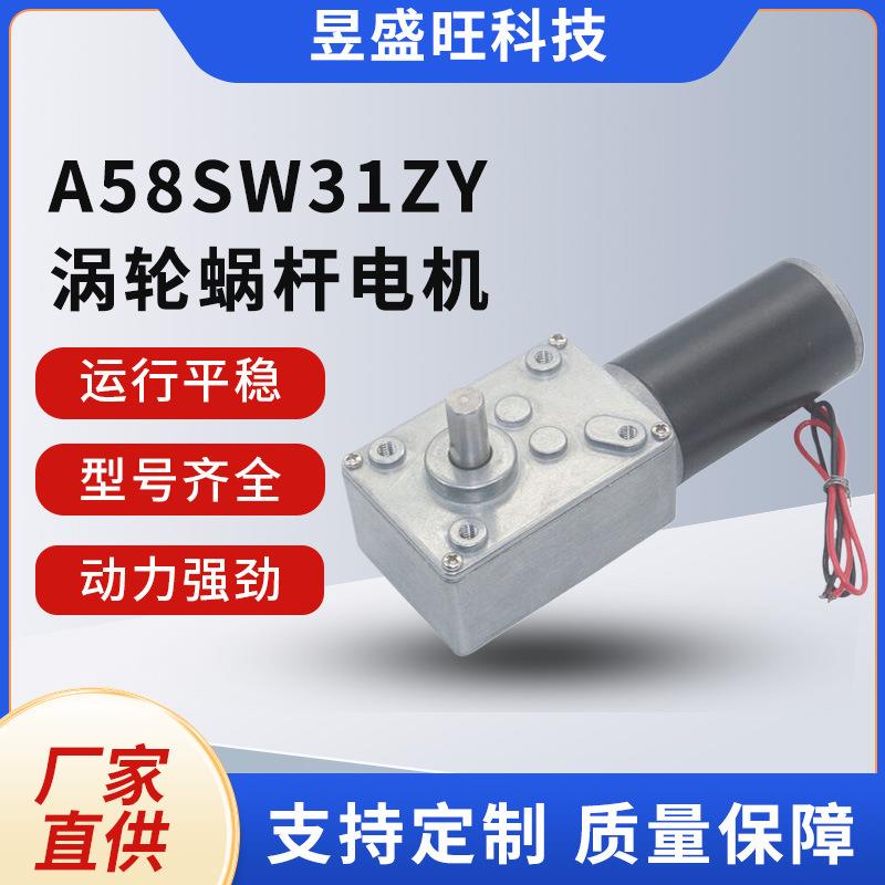 供应A58SW31ZY涡轮蜗杆电机自锁电动转台大扭矩机器人低速电机