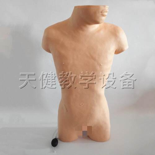 TJ/CK813T腹部移动性浊音叩诊与腹腔穿刺训练模型腹腔穿刺模型