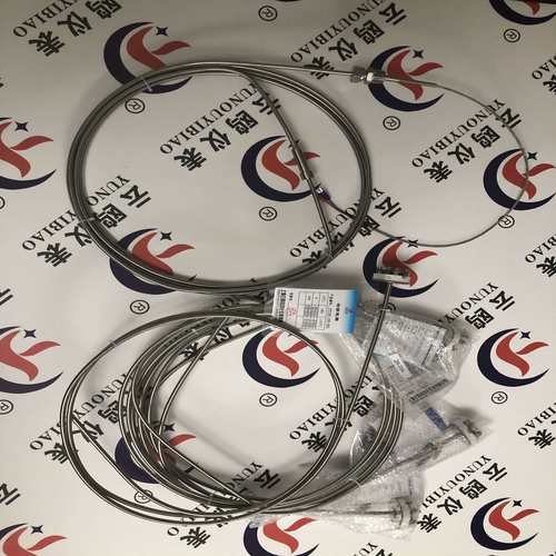 WZPK2-595pt100/WZPK-326/WZPK-333 316L材质铠装热电阻