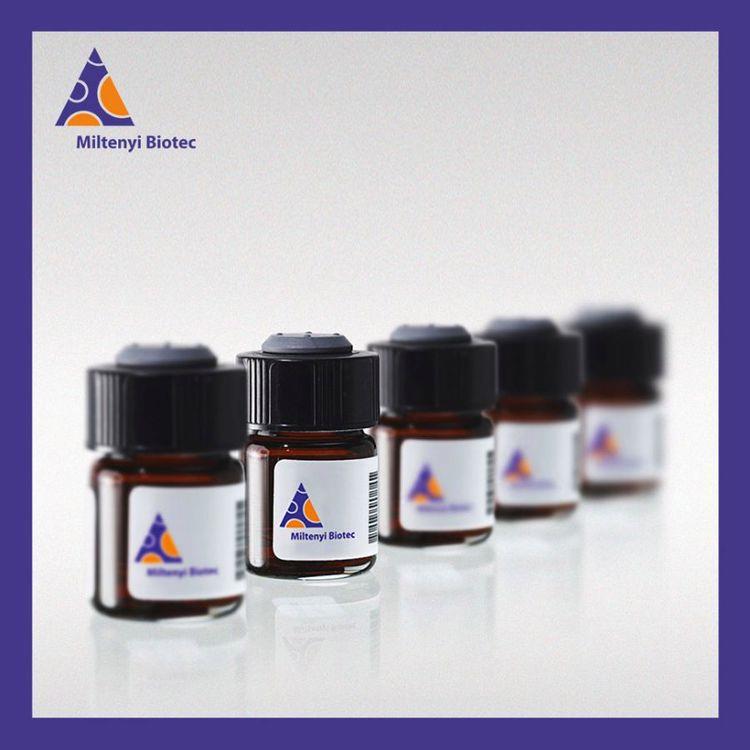 美天旎抗CD15磁珠分选