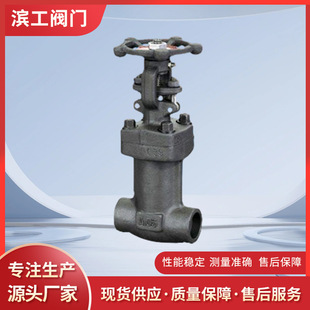 锻钢波纹管截止阀WJ11H高压锻钢丝扣截止阀锻钢截止阀厂家