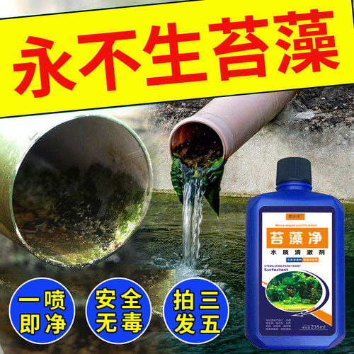 苔藻去除剂鱼池除藻去苔剂不伤鱼