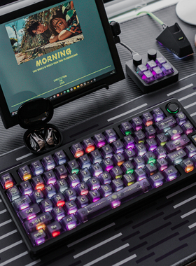 态珀原创哈利波特紫PC雾透R2机械键盘键帽大字客制化磁轴原厂高度