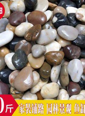 50斤鹅卵石铺路铺地庭院花园造景大小雨花石原石鹅软暖石