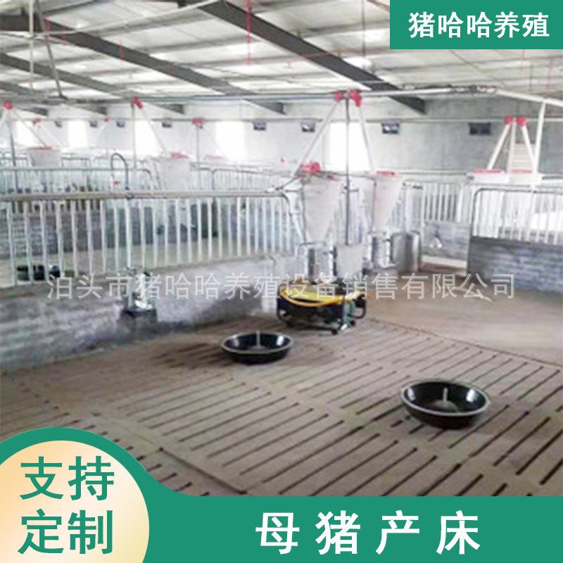 生产设计大型猪场栏位育肥大栏保育栏热镀锌整体热浸锌材质机械