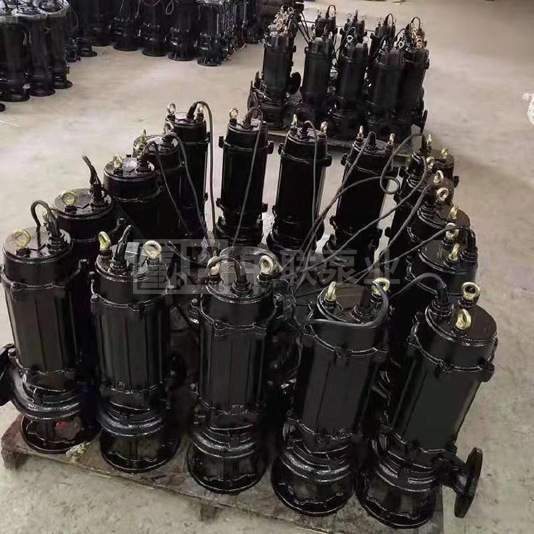 []125WQ130-15-11排污泵长沙排污泵QW液下切割排污泵