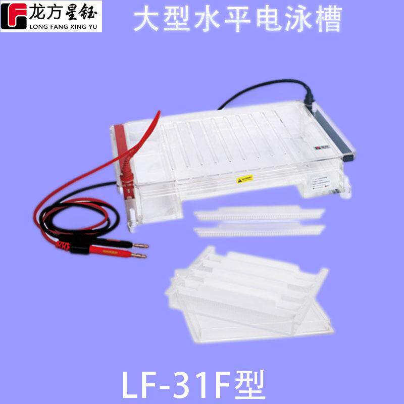 龙方星钰F-31F大型水平电泳槽适用于分离制备DNARNA