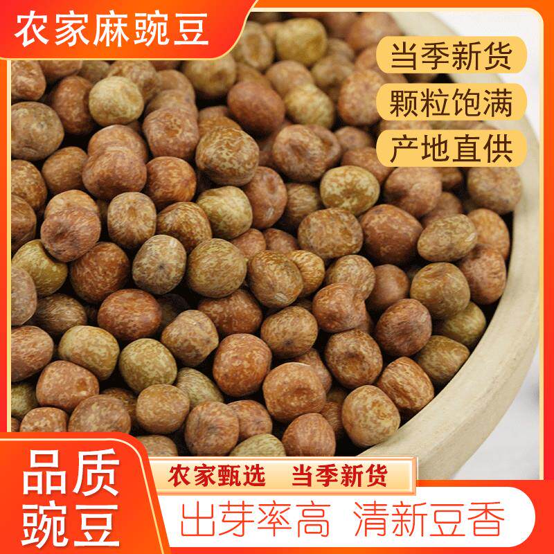 麻豌豆5斤生干豌豆灰豆子可发豌豆芽苗菜灰豆汤炒豆原料甘肃特产