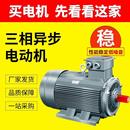 160L 变频电机11W20HP6级YE3 6380V电动机马达三相异步电动机