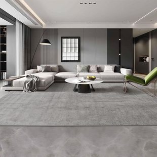 客厅地毯高级感轻奢现代极简耐脏沙发茶几毯加厚卧室地垫防滑定