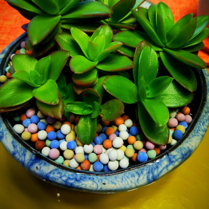 彩陶粒彩石多肉植物铺面石子花盆装饰颗粒水培装饰陶粒球五彩石头