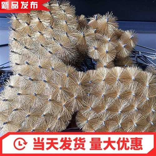 除锈刷刷内管道洗刷/孔刷铜丝铜丝新款刷管钢丝圆钢丝管道