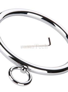 camaTech Stainless Steel Lockable Metal Slave Neck collar