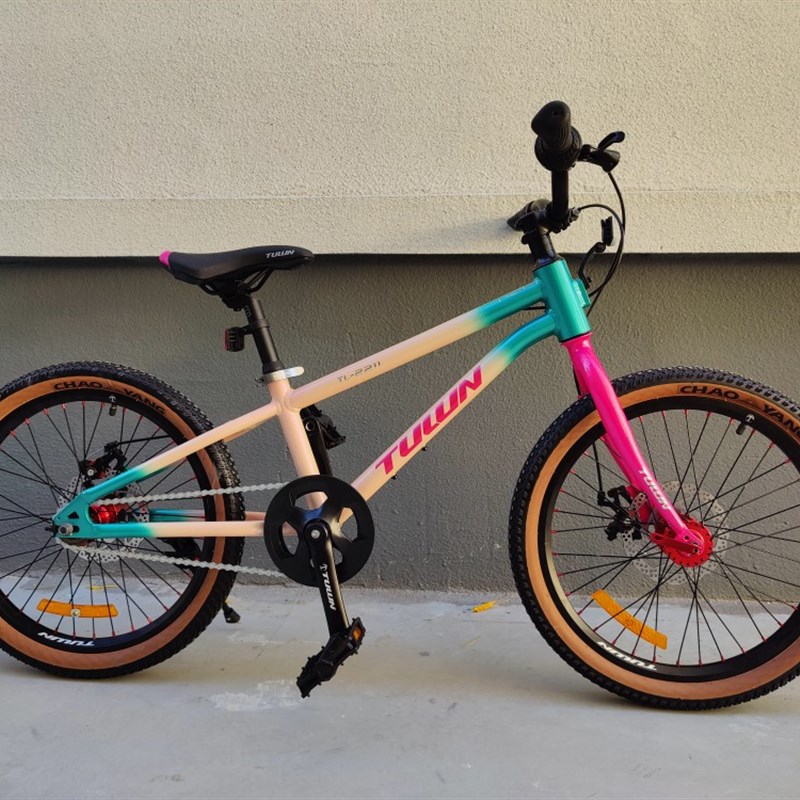 图轮 20 22寸寸学生车 青少年  碟煞 铝合金车架 超轻自行车