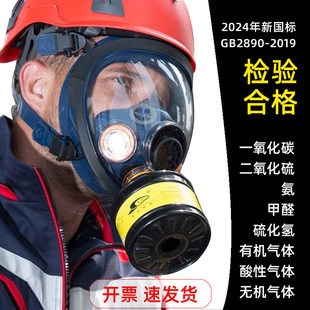 全脸防毒面具全面罩化工化学过滤式硫化氢酸硷一氧化碳氢氟酸甲醛