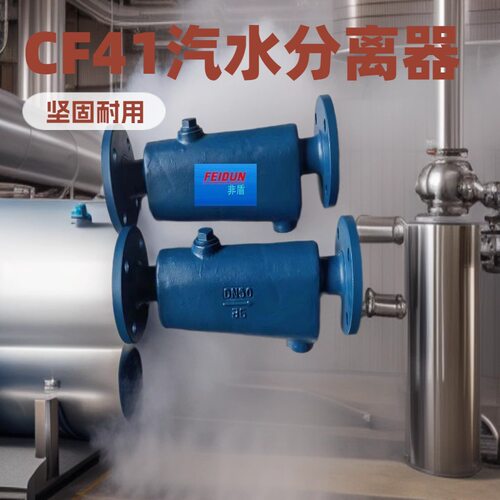 蒸汽汽水分离器法兰高温节能