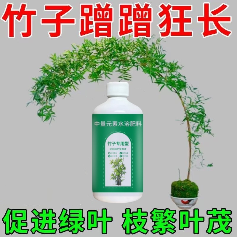 竹子营养液预防叶子发黄盆栽竹子专用肥料免稀释液体肥水溶肥