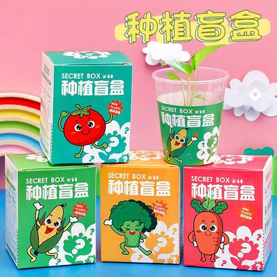 儿童种植小盆栽室内桌面绿植幼儿园养活易存活盲盒趣味盆栽