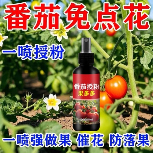 番茄专用座果灵授粉点花神器保花保果提高座果率西红柿