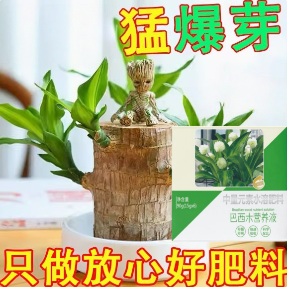 巴西木植物再生剂花卉通用型营养液绿萝水培多肉盆栽水溶绿植肥料