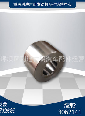 k19 k38发电机组配件 Nt855 发动机零件 滚轮3062141
