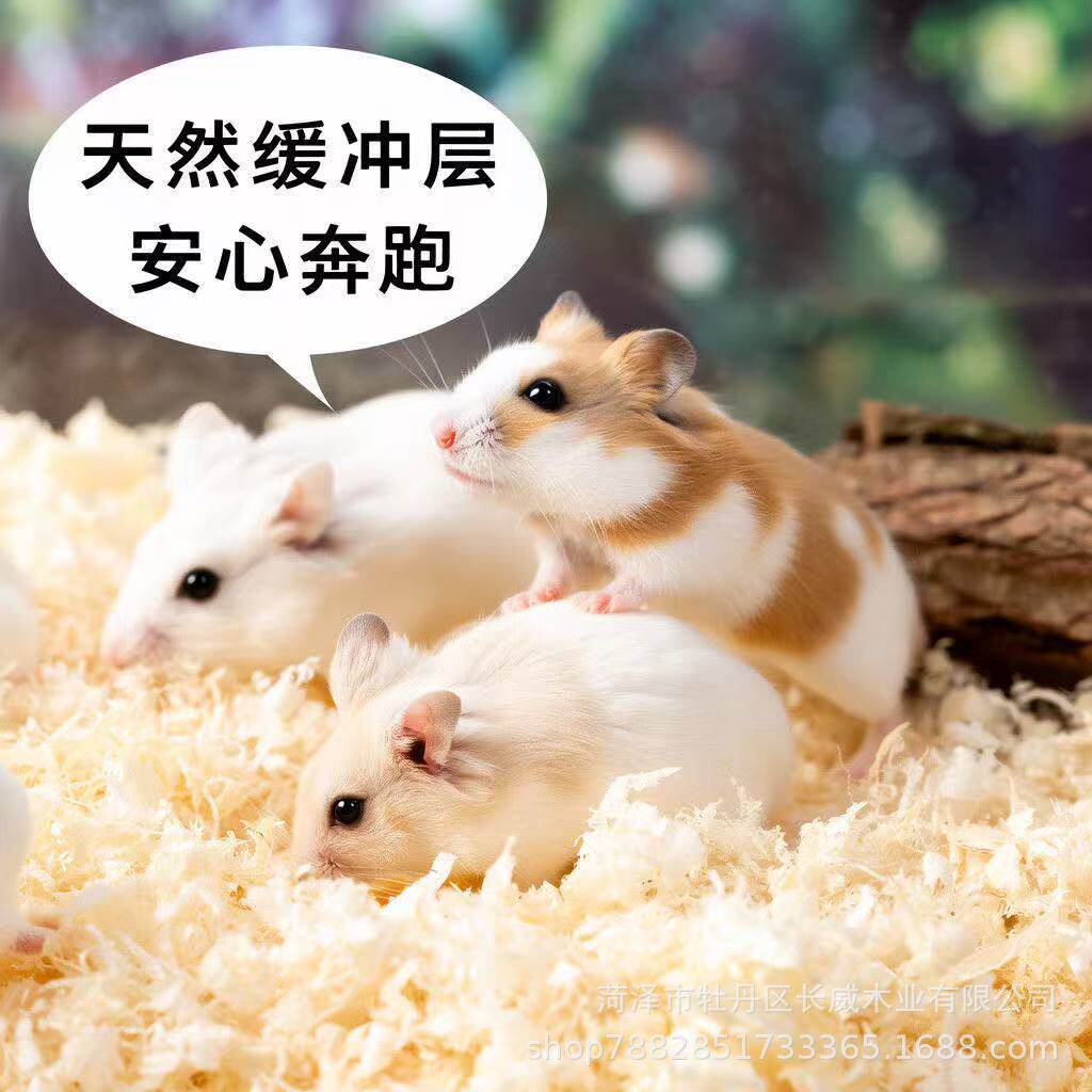仓鼠夏季杨木刨花专用尿砂垫料除湿木屑吸尘吸臭打造全天候舒适栖