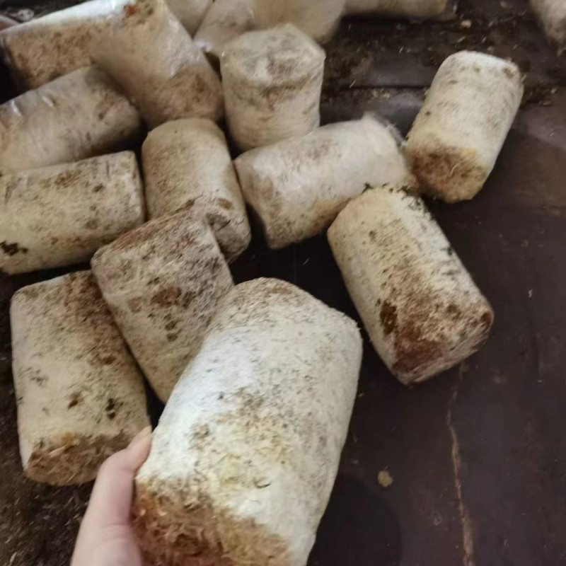 菌棒小型分离粉碎机 电动废菌包破碎机 平菇脱袋机生产线