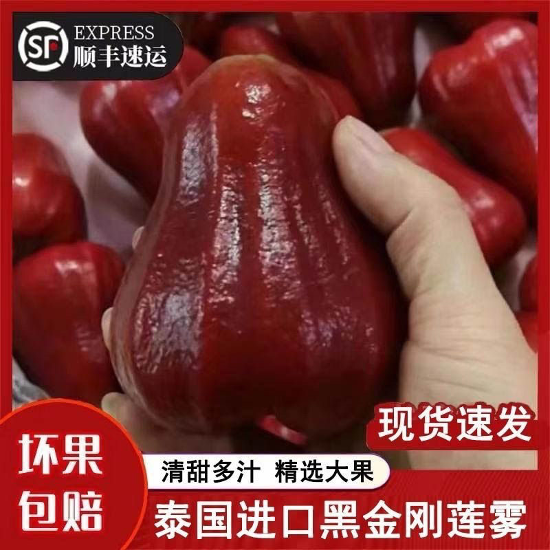 【顺丰】泰国黑金刚莲雾热带水果当季新鲜补水仙女果1斤-4斤大果