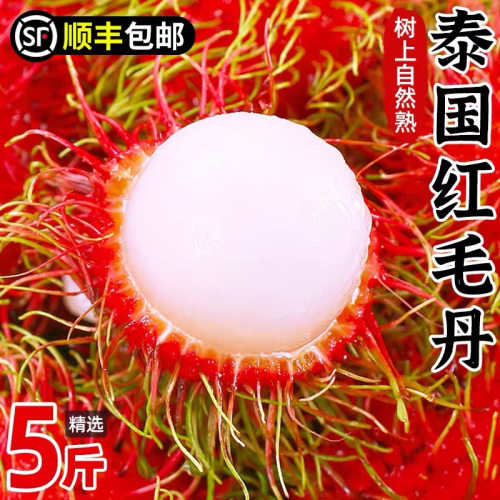 顺丰包邮泰国红毛丹新鲜水果荔枝现摘孕妇水果绿毛果1-5斤