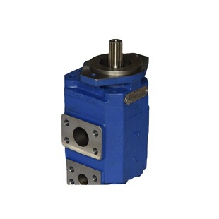 成工956C转向泵 配套泊姆克齿轮泵 1119442003型号齿轮泵