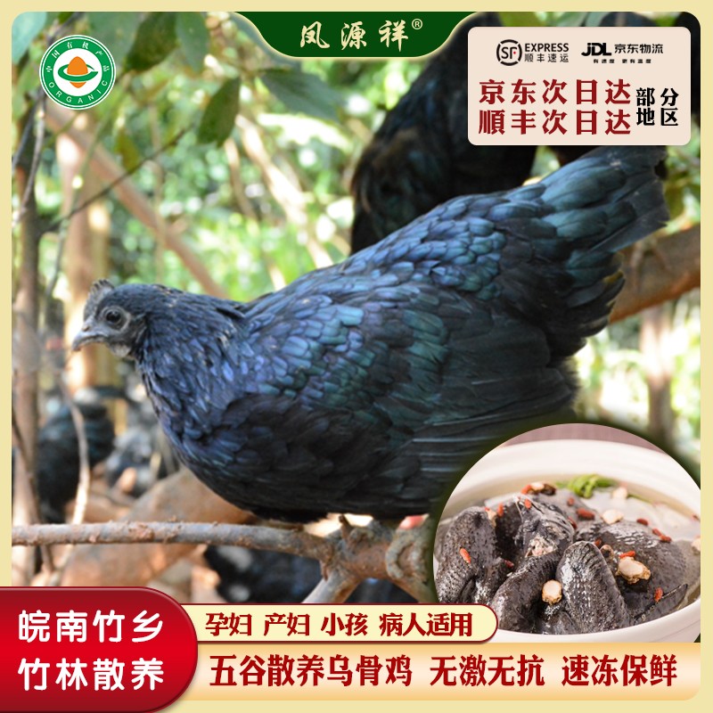 凤源祥皖南竹乡有机乌骨老母鸡