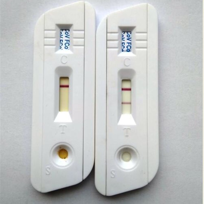 沃德宠物猫冠状传染性腹膜炎FCoV FIPV猫瘟试纸FPV检测卡套装
